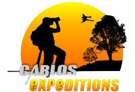 Carlos Expeditions